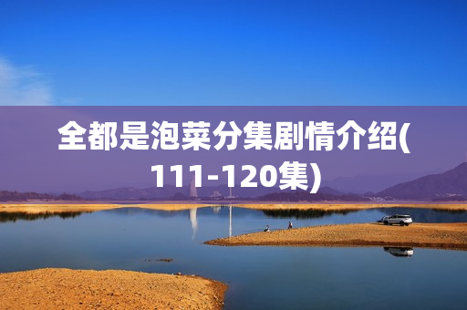 全都是泡菜分集剧情介绍(111-120集)