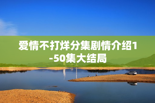 爱情不打烊分集剧情介绍1-50集大结局