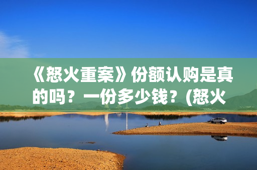 《怒火重案》份额认购是真的吗？一份多少钱？(怒火重案口碑炸裂)