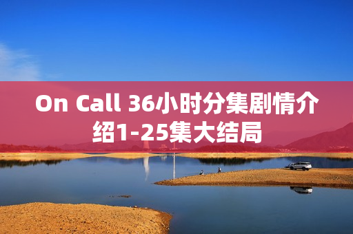 On Call 36小时分集剧情介绍1-25集大结局