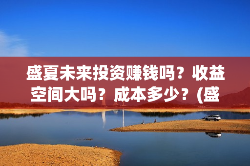 盛夏未来投资赚钱吗？收益空间大吗？成本多少？(盛夏未来投资赚了多少钱)