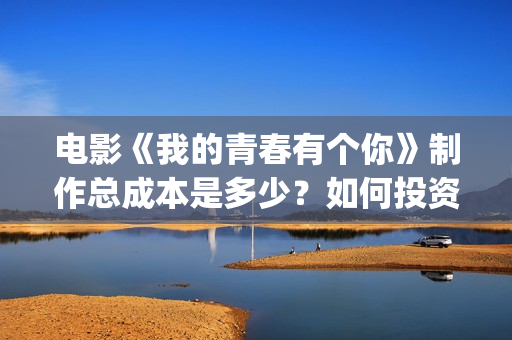 电影《我的青春有个你》制作总成本是多少？如何投资一份呢？投资电影靠谱吗？(电影《我的青春》阿伟)