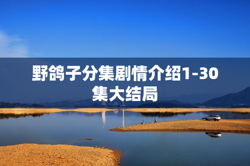 野鸽子分集剧情介绍1-30集大结局