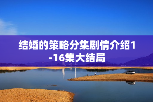 结婚的策略分集剧情介绍1-16集大结局