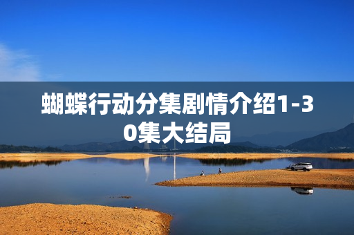 蝴蝶行动分集剧情介绍1-30集大结局