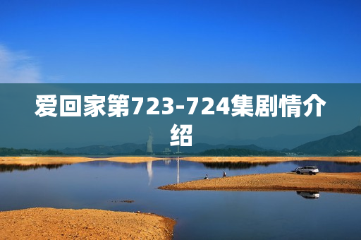 爱回家第723-724集剧情介绍