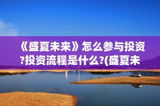 《盛夏未来》怎么参与投资?投资流程是什么?(盛夏未来ts)