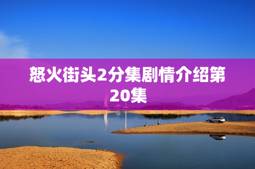怒火街头2分集剧情介绍第20集