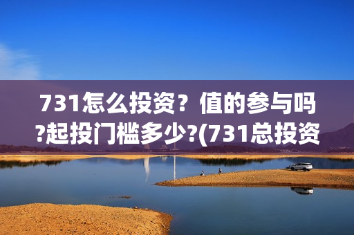 731怎么投资？值的参与吗?起投门槛多少?(731总投资多少)
