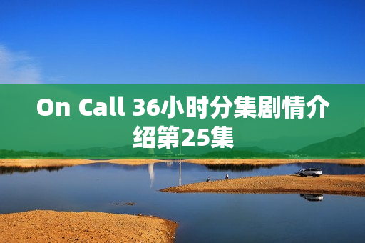 On Call 36小时分集剧情介绍第25集