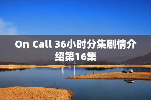 On Call 36小时分集剧情介绍第16集