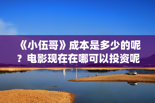 《小伍哥》成本是多少的呢？电影现在在哪可以投资呢？多少起投呢？(小伍哥预计上映时间)