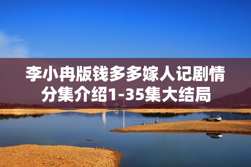 李小冉版钱多多嫁人记剧情分集介绍1-35集大结局