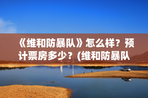 《维和防暴队》怎么样？预计票房多少？(维和防暴队剧情介绍)