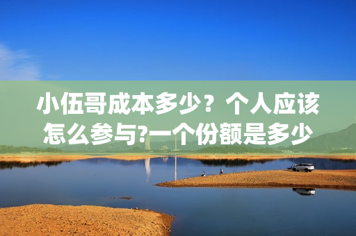 小伍哥成本多少？个人应该怎么参与?一个份额是多少?(网红小伍哥怎么火的)