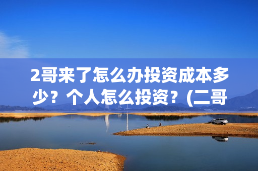 2哥来了怎么办投资成本多少？个人怎么投资？(二哥来了怎么办hd)