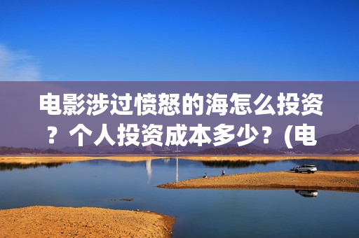 电影涉过愤怒的海怎么投资？个人投资成本多少？(电影涉过愤怒的河的内容)