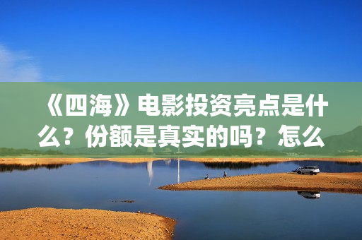 《四海》电影投资亮点是什么？份额是真实的吗？怎么投资有保障呢？(四海电影怎么样)