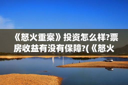 《怒火重案》投资怎么样?票房收益有没有保障?(《怒火重案》投资人是谁)