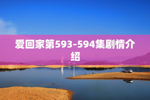 爱回家第593-594集剧情介绍