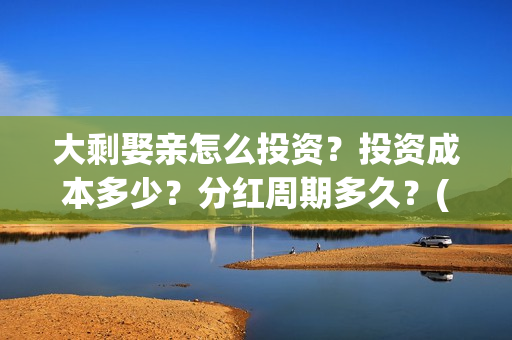大剩娶亲怎么投资？投资成本多少？分红周期多久？(大剩娶亲有哪个公司出品)