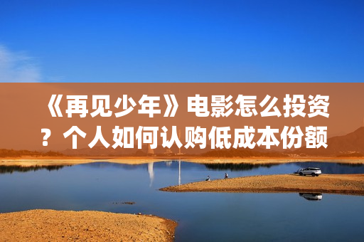 《再见少年》电影怎么投资？个人如何认购低成本份额？在哪投？(再见少年电影原著)