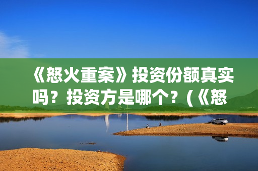 《怒火重案》投资份额真实吗？投资方是哪个？(《怒火 重案》)