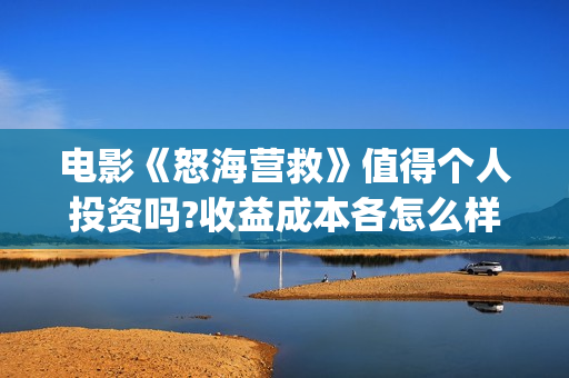 电影《怒海营救》值得个人投资吗?收益成本各怎么样?(电影《怒海营救》国语在线看)