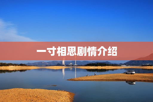 一寸相思剧情介绍