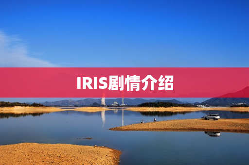 IRIS剧情介绍