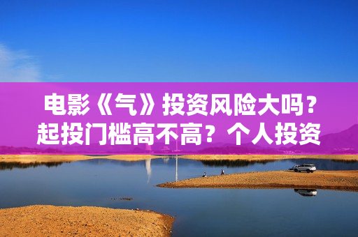 电影《气》投资风险大吗？起投门槛高不高？个人投资赚钱啊？