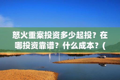 怒火重案投资多少起投？在哪投资靠谱？什么成本？(怒火重案投资金额)