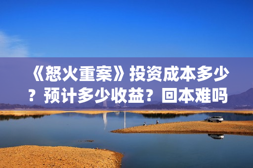 《怒火重案》投资成本多少？预计多少收益？回本难吗？(怒火重案片名)