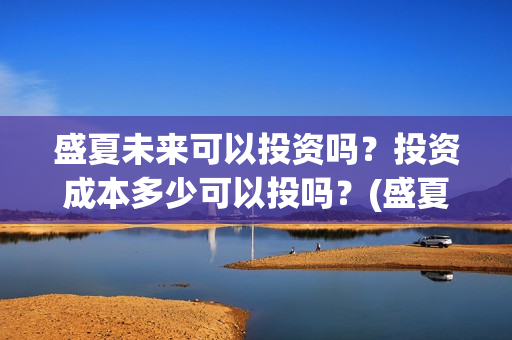盛夏未来可以投资吗？投资成本多少可以投吗？(盛夏未来哪个平台)