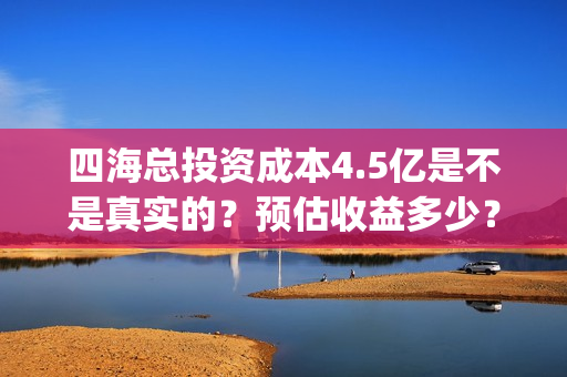 四海总投资成本4.5亿是不是真实的？预估收益多少？(四海 成本)