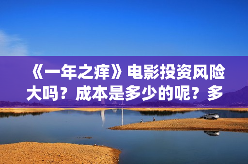 《一年之痒》电影投资风险大吗？成本是多少的呢？多少起投呢？(一年之痒免费播放)