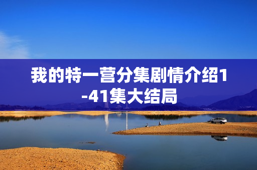 我的特一营分集剧情介绍1-41集大结局