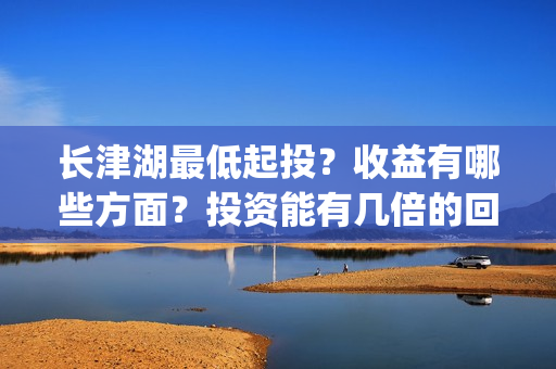 长津湖最低起投？收益有哪些方面？投资能有几倍的回报率？(长津湖2021tc)