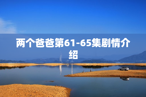 两个爸爸第61-65集剧情介绍