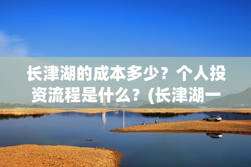 长津湖的成本多少？个人投资流程是什么？(长津湖一共投资多少钱)