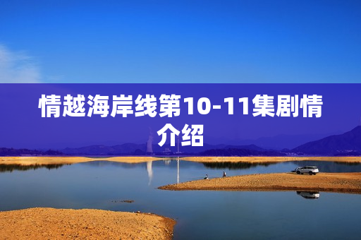 情越海岸线第10-11集剧情介绍