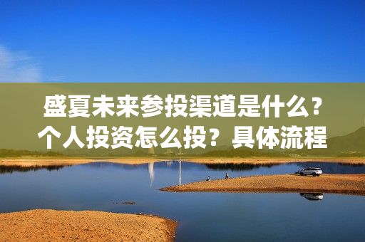 盛夏未来参投渠道是什么？个人投资怎么投？具体流程是什么?(盛夏未来发行公司)