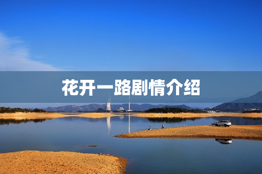 花开一路剧情介绍