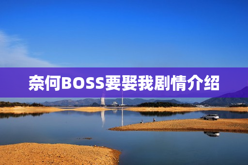 奈何BOSS要娶我剧情介绍