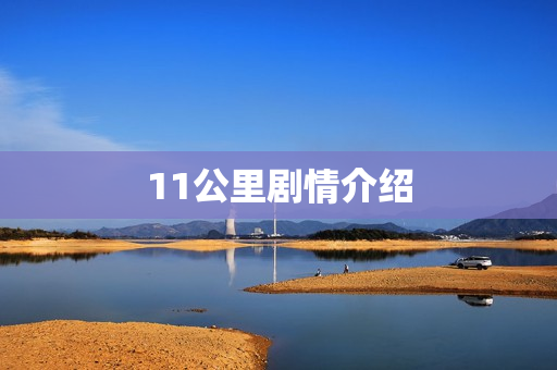 11公里剧情介绍