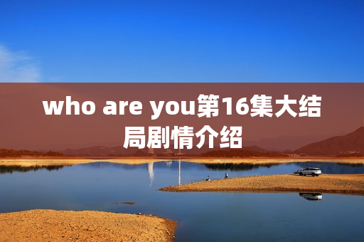 who are you第16集大结局剧情介绍