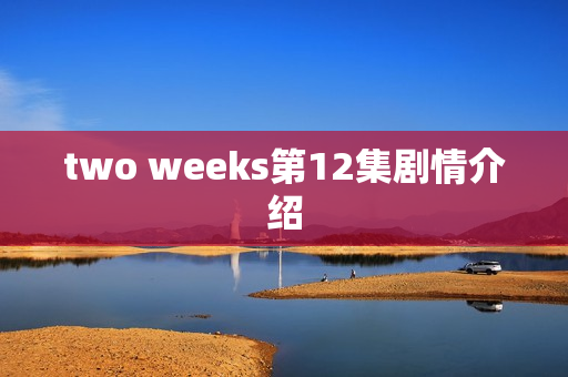 two weeks第12集剧情介绍