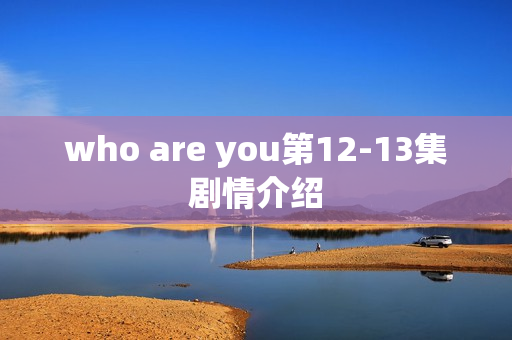 who are you第12-13集剧情介绍