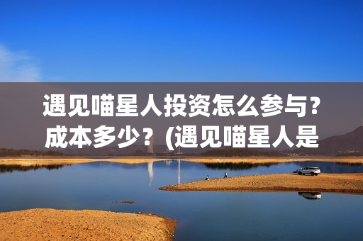 遇见喵星人投资怎么参与？成本多少？(遇见喵星人是哪家公司)
