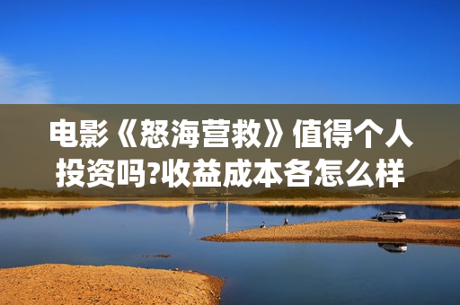 电影《怒海营救》值得个人投资吗?收益成本各怎么样?(电影怒海营救总投资)